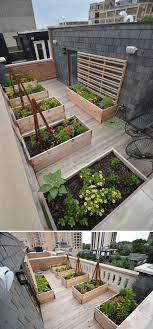 Most Recent Pictures Rooftop Garden Vegetable Strategies Rooftop Gardening Is Not New City Dwellers Have Al In 2021 Rooftop Garden Urban Rooftop Garden Rooftop Design