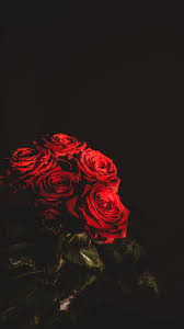 We did not find results for: Wallpaper Roses Bouquet Flowers Dark Red Iphone Wallpaper Flower Red Black 938x1668 Wallpaper Teahub Io