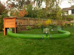 This is due to the high choose a playpen with narrow gaps between the grids and at least 9 panels to adjust the size of the cage. Zippi Guinea Pig Tunnel System Omlet