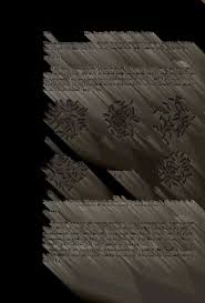 Image result for Radinosiphon leptostachya