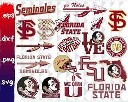 College Football Florida State Seminoles Tumbler Florida Sta Florida State Seminoles Football Florida State Seminoles Florida State University Football