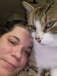 Lost orange cat with allergies in Hinesville?