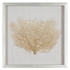 Maybe you would like to learn more about one of these? Gold Sea Fan Shadowbox