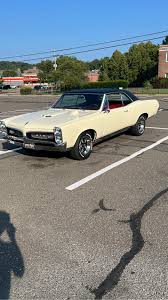 Image result for Cameo Ivory 1967 GTO