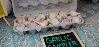 When harvesting garlic, dig it, don't pull it out of the ground so the stalks don't break off. Wnc Garlic Fest Oct 7 2017 Asheville Grown Business Alliance