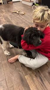 Wade James & Tabitha James