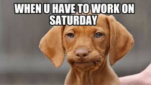101 Funny Saturday Memes Will Make You Laugh From Morning Till Night