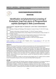 Image result for Phragmanthera capitata