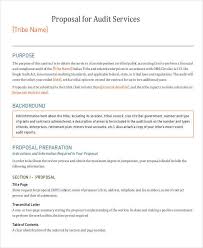 Dewan komisaris atau pihak lain yang memiliki kewenangan dan tanggung jawab setara saudara telah. 10 Audit Proposal Examples Pdf Examples