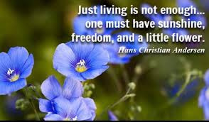 Feb 02, 2021 · this collection of deep love quotes will help you express your love and gratitude for the most important people in your life. 22 Most Beautiful Quotes About Loving Flowers Enkiquotes