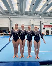 Asd Ginnastica Artistica 82...