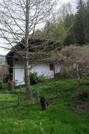 Alleinstehendes Schwarzwaldhaus Christine Mit Eingez Garten Christine In Kleines Wiesental Schwarz Schwarzwald Urlaub Ferienhaus Schwarzwald Schwarzwaldhaus