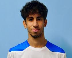 Guido Sani, Autore presso solodilettanti.it