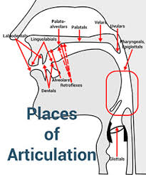 Places Of Articulation The Complete List With Examples