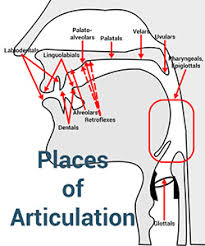 places of articulation the complete list with examples