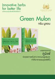 green mulon ราคา juice