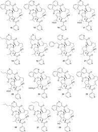 Image result for Chrozophora plicata