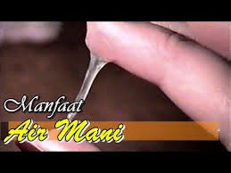 Pakai air rebusan bawang putih pada pagi berfungsi untuk memaksimalkan kinerja sistem daya tahan tubuh. 24 Manfaat Telan Air Mani Gif Content