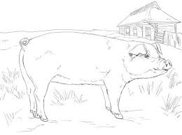 Floral pig coloring book pages, adult and kids, digital instant download, printable, pdf, plants and flowers, happy cute animal, activity suncatillustrations 5 out of 5 stars (2) $ 0.99. Pin On Animals