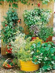 Lush Small Patio Vegetable Garden And Herb Garden Growing Vegetables Growing Vegetables In Containers Vegetable Garden Planning
