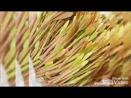 We did not find results for: Ø§Ø¬ÙˆØ¯ Ø§Ù†ÙˆØ§Ø¹ Ø§Ù„Ù‚Ø§Øª Ø§Ù„Ø§Ø±Ø­Ø¨ÙŠ Ø´Ø§Ù‡Ø¯ Ù„Ù„Ù…ÙˆØ§Ù„Ø¹Ù‡ ÙÙ‚Ø· Youtube