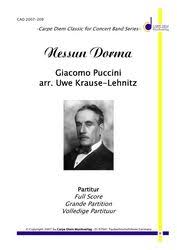 86%(21)86% found this document useful (21 votes). Nessun Dorma Giacomo Puccini Blasorchester Noten Cad2007 209