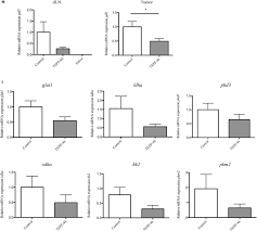 Tepp 46 Reduces Pd L1 Expression On Tumor And Immune Cells In Vivo In Download Scientific Diagram