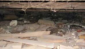Basement Crawlspace Home Preservation Manual