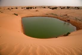 Dibouti, tadjoura, camel drinking water in the desert news. Desert Stars Exploring The Sands Of Mauretania Klm Blog