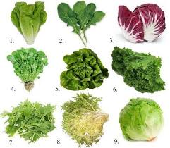 Salad Leaves 10 Cal Types Of Lettuce Lettuce Greens