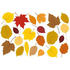 Scherenschnitte sind edle und sehr dekorative papierelemente, die per hand zugeschnitten werden. Wandtattoo Blatter Set Herbst 1 Herbstliche Dekoration Wall Art De