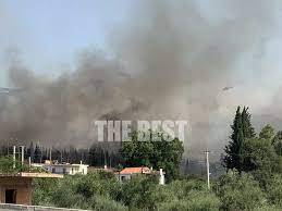 Φωτιά εκδηλώθηκε περίπου στις 13:00 σε αγροτοδασική έκταση στην περιοχή του προφήτη ηλία, κοντά στην περιμετρική οδό της πάτρας. Ove3pyvgr4f1im