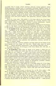 Image result for Allophylus fulvotomentosus