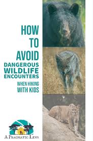 How To Avoid Dangerous Wildlife Encounters When Hiking With Kids In 2020 Hiking With Kids Wild Animals Attack Animal Attack