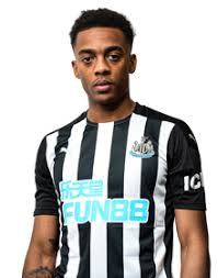 Get all the breaking nufc news & rumours. Newcastle United Fc Squad Information 2021 2022 Premier League