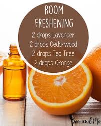 10 Simple Essential Oil Blends For Your Diffuser Essential Oil Diffuser Blends Essential Oil Blends Essential Oils