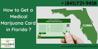 Automobile or homeowner's insurance policy or bill; How To Get A Medical Marijuana Card In Florida