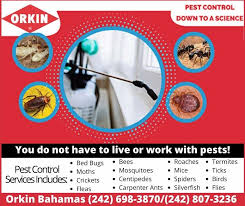 With orkin, pests don't stand a chance. Orkin Bahamas Posts Facebook