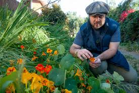 Image result for Nasturtium