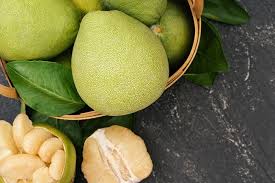 Birds, rats, cats, squirrels and opossums often nosh on tomato fruits, and using a slightly different deterrent for each animal is necessary to protect the plants. Can Parrots Eat Pomelo Parrot Website