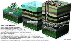 Coal Types Of Coal Peat Lignite Bituminous Coal