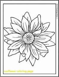 Kleurplaten speciaal voor meisjesk3 lego friend kleurplaten barbie prinsessen en sprookjes. Tekening Zonnebloem Kleurplaat