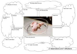 The genetic modifications could be aimed at giving such children genetic characteristics of both members of the couple concerned. Genetic Engineering Cloning Teaching Resources