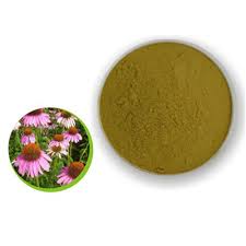 hot sale organic phenolic polyphenol Natural Echinacea Purpurea Flower  Extract Powder with best price,China price supplier - 21food