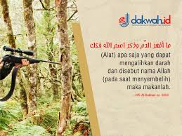 Check spelling or type a new query. Berburu Dengan Senapan Angin Dagingnya Halal