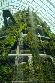 The Waterfall Of Cloud Forest Singapore Travel Waterfall Beautiful Places