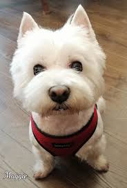 Ah those black eyes... I love... ❤️