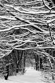 Journal Of A Nobody Paisaje Nieve Fotografia En Color Colores De Invierno