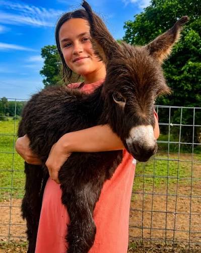 A Georgia family is demanding answers after their beloved miniature donkey,  HeeHaw, was shot and killed by a police officer during a late-night search  for a missing person. 😔 According to the