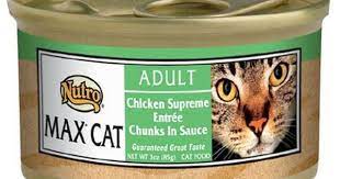 Pin On Cat Food